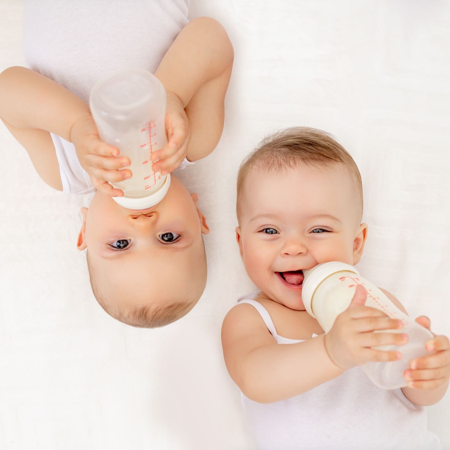 produits bébés Lait bébé Gallia, Pharmacie Nouvelle madeleine, La Madeleine, Saint-André-Lez-Lille, Marquette-Lez-Lille